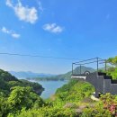 게으른 악어 이미지