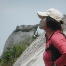 지랄돼지 이미지