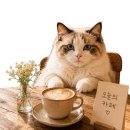 현동초등학교 앞 사거리 횡단보도 | [김해 내외동 카페] 빵 종류가 많아 눈 돌아가는 베이커리 김덕규 과자점 방문 후기
