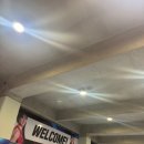 장전체육관 | 직관 부산KCC이지스 VS 울산현대모비스피버스 (부산 사직실내체육관) Feat. 1층 익사이팅석 6구역 8열