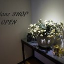 MI SHOP