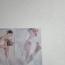 월평초등학교 | 대전 [아워드레스] 팝업 행사 참여 후기 1.9. 1일차