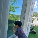 더아리웃집1 이미지