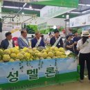 하나로 클럽 이미지