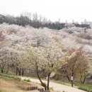 신설동역 12번출구 이미지