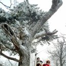 태백산 - 김포시 양곡3로1번길 26-5 | 태백산