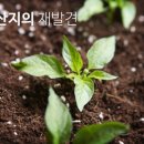 채다움 이미지