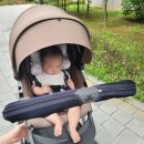 [공지] 스토케 크루시 디럭스 유모차 사용방법 및 당근 사용 후기