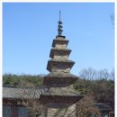 구지동 | 칠곡 송림사(松林寺) 와 송림사 5층전탑(塼塔)