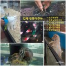 아름농장 | 김제 단짠아쿠아 전주근교 아이와가볼만한곳 실내동물체험 실내아쿠아카페 추천 내돈내산 후기