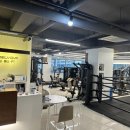 홈리복싱짐 헬스 PT | 미금복싱 홈리복싱짐 헬스 PT 에서 건강해지다.