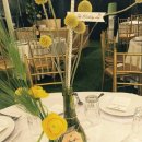 강남하우스 이미지