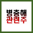 병충해 관련주 BEST 7 총정리