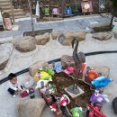 실개천펜션 이미지