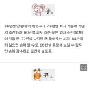 미리보는 띠별 내일의 운세 (12월1일) 이미지