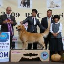 스포팅랩