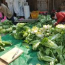 꽃내풀네 이미지