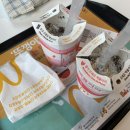 돌체노래연습장 이미지