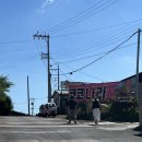 제주 트윈즈 | 우도 스쿠터 대여 코코나라 두번째 이용후기