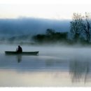 섬진강매화로 이미지