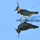 강 나 루 이미지