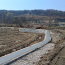 윤 태양광발전소 이미지