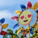 강주농장 이미지