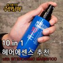 코스모인터 이미지
