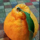 리안이네농장 이미지