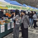 서초남서울 이미지