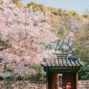 자연과공간