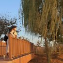 갯골수로1 이미지