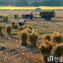 동막유기농장 네이버블로그