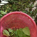 경화농장 이미지