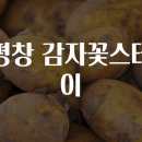 감자꽃스테이 이미지