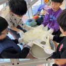 한국체대 정진태권도 이미지