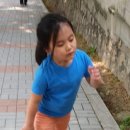 세브란스어린이집 이미지