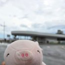 강릉짱게임장 이미지