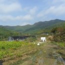 비룡그린파크 이미지