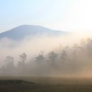 전북 고창군 아산면 삼인리 선운사 일원 꽃무룻. 이미지