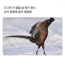 용산-현장-674 | [일상] 미리 메리 크리스마스