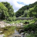 철이네캠핑장 이미지