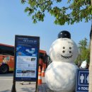 스텔라 펜션 이미지