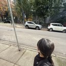 Travel with Dream & Drawing | EF 밴쿠버 어학연수 후기 | 7주차 | Halloween🎃 &amp; Seattle🇺🇸