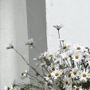 동서카서비스 이미지