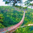 무료인데 이런 풍경까지…100년 소나무숲 품은 해안 트레킹 핫플 이미지