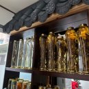 심마니네 약초백숙 이미지