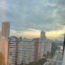 미키팜약국 | [Singapore] 싱가포르 3박 5일 1일차