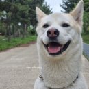 훈트가르텐 이미지