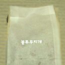 백년나무